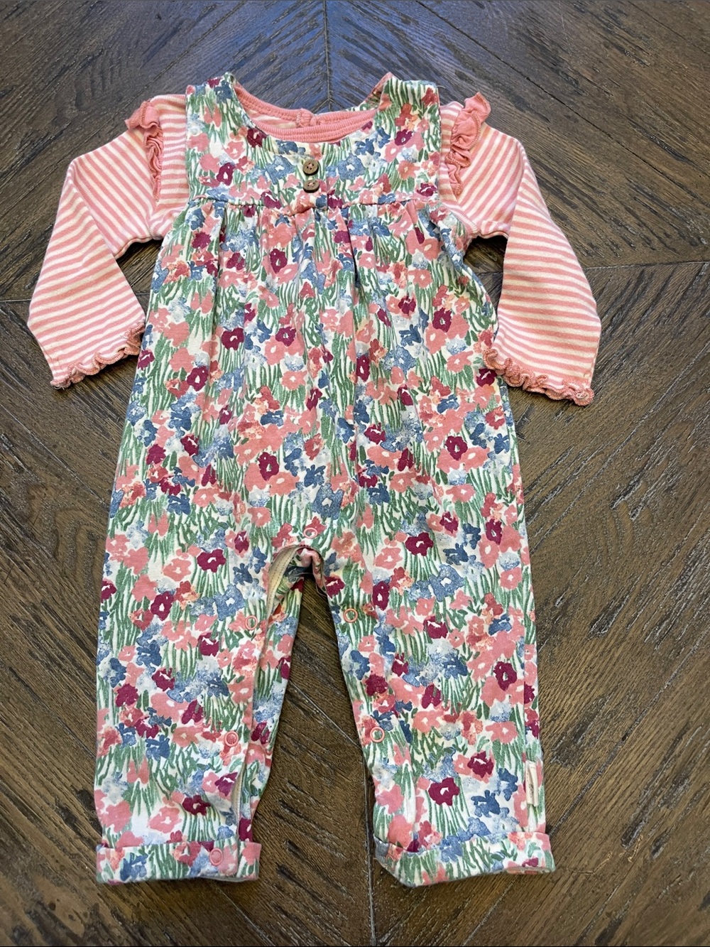 Burt's Bees Baby Floral Romper with Pink Stripe Tee